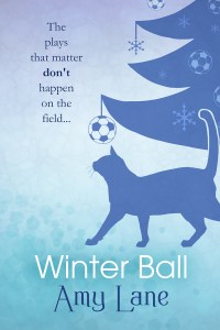 WinterBallFS